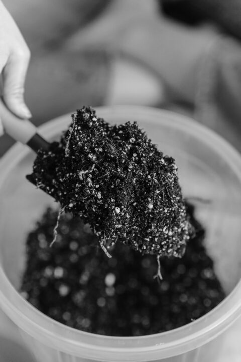 Optimizing Granule Composition in Fertilizers with LIBS